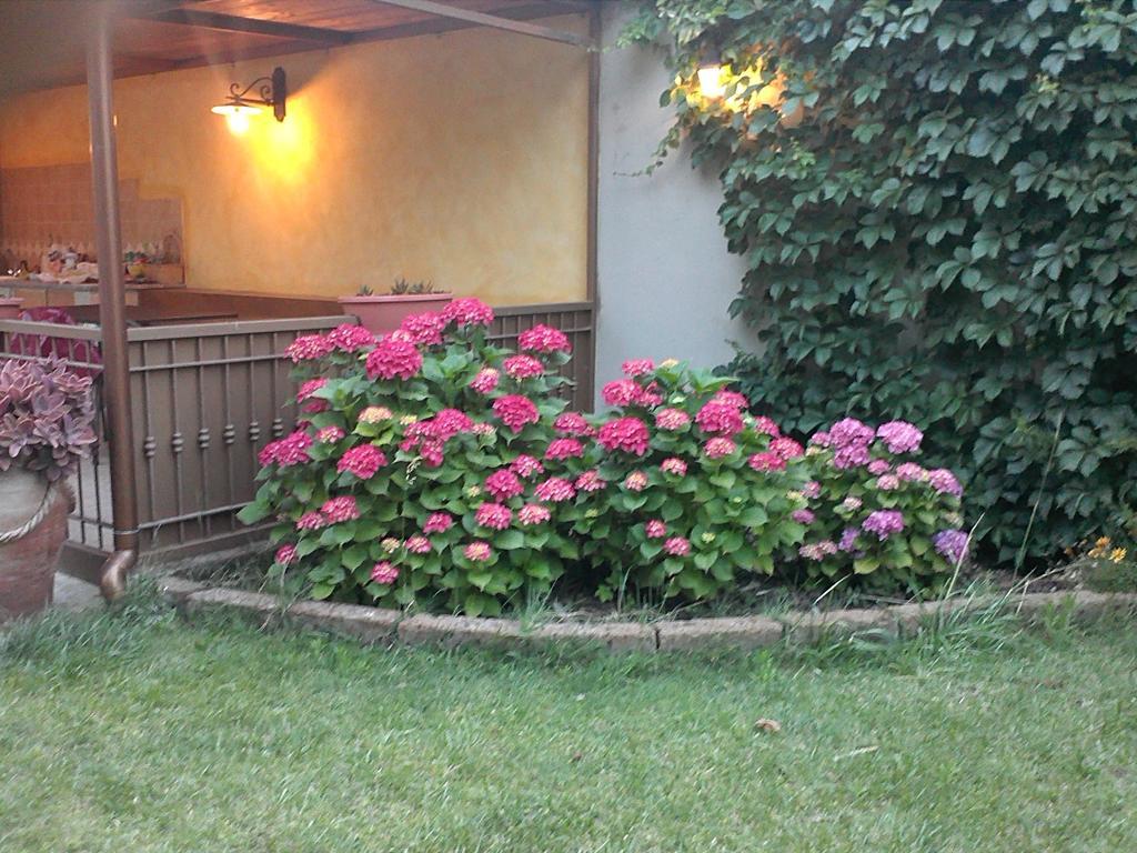 Case Vacanza Villa Doria Valledoria  Værelse billede